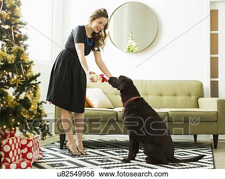 Stock Photograph - Young woman giving to dog Christmas present. Fotosearch