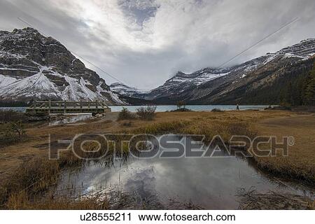 Bow Lake View Large Photo Image Stock Image - Bow Lake. Fotosearch