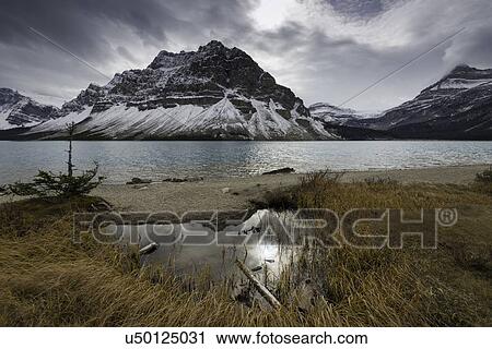 Bow Lake View Large Photo Image Stock Image - Bow Lake. Fotosearch