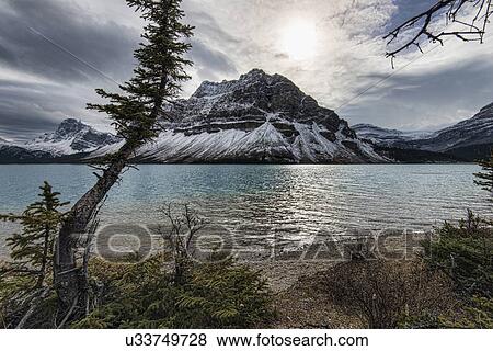Bow Lake View Large Photo Image Stock Photo - Bow Lake. Fotosearch