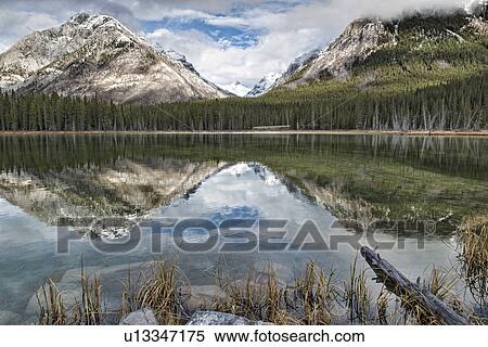 Buller Pond in Banff National Park View Large Photo Image Stock Photography - Buller Pond in Banff National Park. Fotosearch