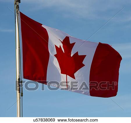 Stock Photo - Canadian flag. Fotosearch