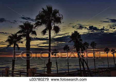 Stock Photo - Palm trees at sunset, Oceanside, California. Fotosearch
