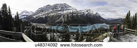 Peyto Lake panoramic View Large Photo Image Stock Image - Peyto Lake panoramic. Fotosearch