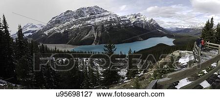 Peyto Lake Panoramic View Large Photo Image Stock Photo - Peyto Lake Panoramic. Fotosearch