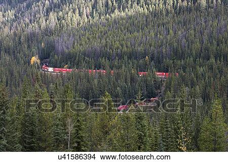 Picture - Spiral Tunnels. Fotosearch