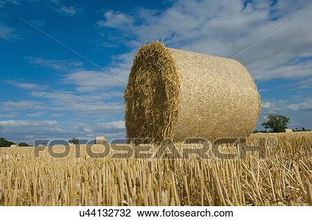 Bale of hay View Large Photo Image Stock Image - Bale of hay. Fotosearch