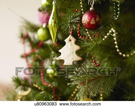 Close up of christmas tree with baubles and christmas biscuits View Large Photo Image Stock Image - Close up of christmas tree with baubles and christmas biscuits. Fotosearch