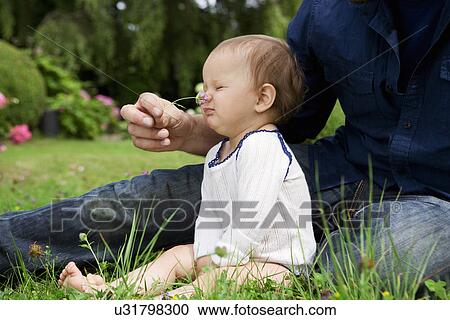 Father tickling baby daughters nose with grass in garden View Large Photo Image Stock Image - Father tickling baby daughters nose with grass in garden. Fotosearch