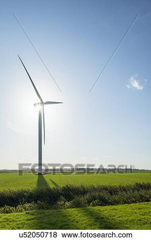 Stock Photo - Field landscape with wind turbine in front of sunrise, Rilland, Zeeland, the Netherlands. Fotosearch