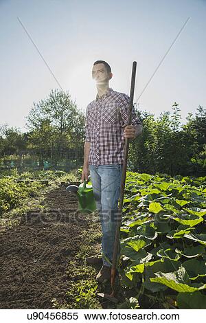 Stock Photography - Gardener holding hoe and watering can next to courgette patch. Fotosearch