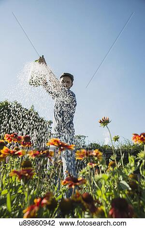 Stock Image - Gardener watering flowers. Fotosearch