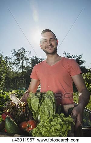 Stock Photo - Gardener with box of fresh vegetables. Fotosearch