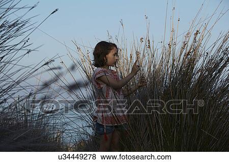 Girl and silhouetted long grasses, Almeria, Andalusia, Spain View Large Photo Image Stock Photo - Girl and silhouetted long grasses, Almeria, Andalusia, Spain. Fotosearch