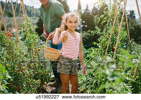 Girl holding basket in vegetable garden View Large Photo Image Stock Photo - Girl holding basket in vegetable garden. Fotosearch