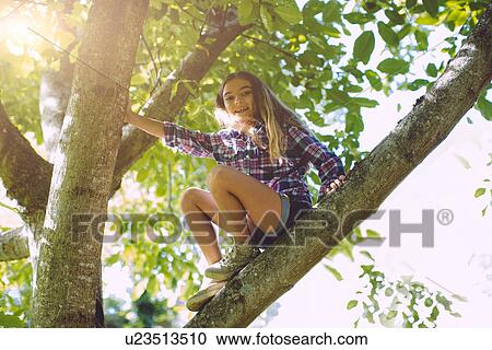 Stock Image - Girl sitting on branch of tree, low angle. Fotosearch