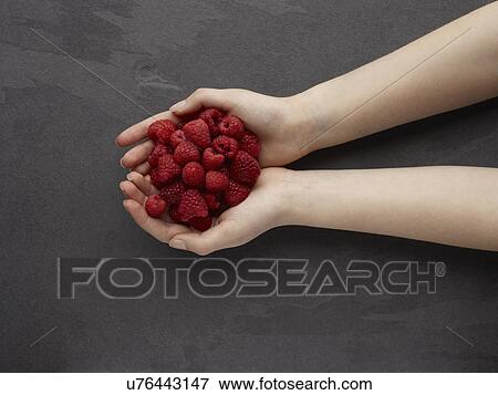 Stock Photo - Hands holding fresh raspberries. Fotosearch