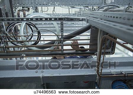 Low angle view of female engineer examining industrial pipework in factory View Large Photo Image Stock Image - Low angle view of female engineer examining industrial pipework in factory. Fotosearch