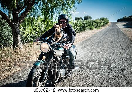 Stock Image - Mature man and dog riding motorcycle on rural road, Cagliari, Sardinia, Italy. Fotosearch