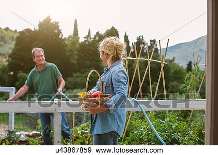 Stock Photo - Mature woman holding basket of fresh vegetables. Fotosearch