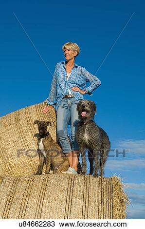 Mature woman with two dogs standing gazing from haystacks View Large Photo Image Stock Image - Mature woman with two dogs standing gazing from haystacks. Fotosearch