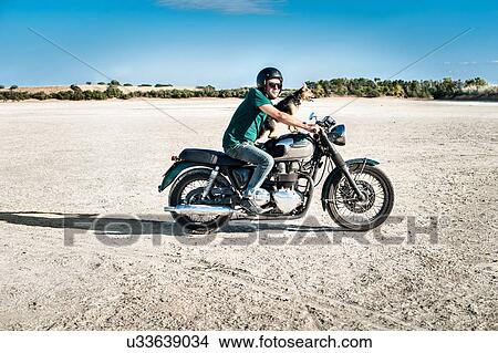 Mid adult man and dog riding motorcycle on arid plain, Cagliari, Sardinia, Italy View Large Photo Image Picture - Mid adult man and dog riding motorcycle on arid plain, Cagliari, Sardinia, Italy. Fotosearch