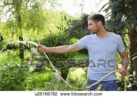 Stock Image - Mid adult man watering garden with hosepipe. Fotosearch