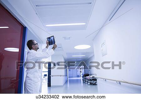 Stock Image - Radiologist holding up xray in hospital. Fotosearch
