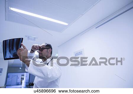 Radiologist holding up xray results in hospital View Large Photo Image Stock Photograph - Radiologist holding up xray results in hospital. Fotosearch