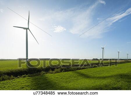 Stock Photography - Row of wind turbines in front of sunrise in field landscape, Rilland, Zeeland, the Netherlands. Fotosearch