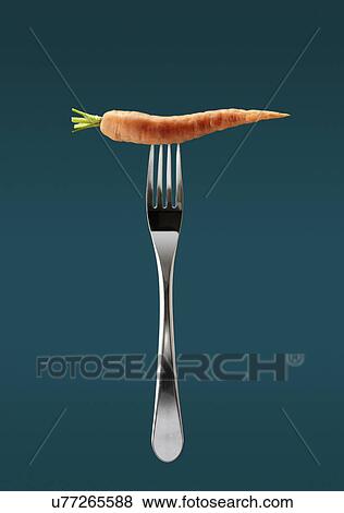 Still life of fresh carrot on top of fork View Large Photo Image Stock Photo - Still life of fresh carrot on top of fork. Fotosearch