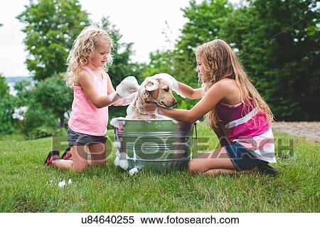 Stock Photography - Two sisters bathing pet Labrador Retriever puppy. Fotosearch