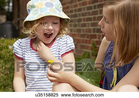 Two sisters in garden with buttercup flower View Large Photo Image Stock Photography - Two sisters in garden with buttercup flower. Fotosearch
