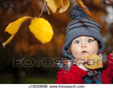 Young girl holding autumn leaf View Large Photo Image Stock Photo - Young girl holding autumn leaf. Fotosearch