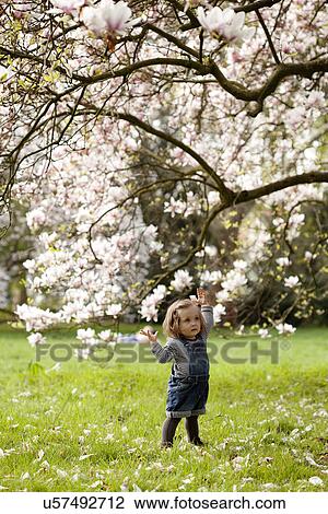 Young girl standing under tree in blossom View Large Photo Image Stock Image - Young girl standing under tree in blossom. Fotosearch