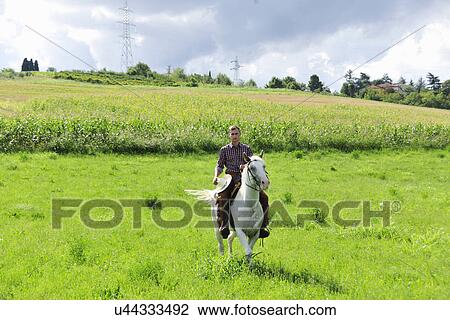 Young man holding cowboy hat galloping on horse in field View Large Photo Image Stock Image - Young man holding cowboy hat galloping on horse in field. Fotosearch