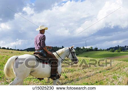 Stock Image - Young man in cowboy gear horse riding in field. Fotosearch