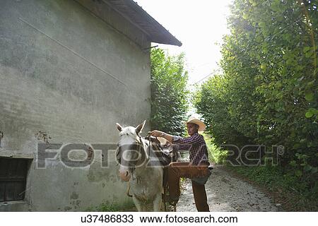 Stock Image - Young man in cowboy gear mounting horse outside barn. Fotosearch