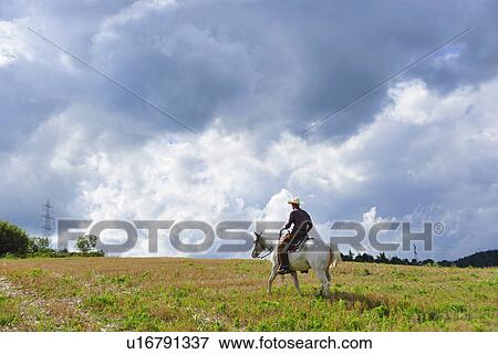 Stock Photo - Young man in cowboy gear riding horse in field. Fotosearch