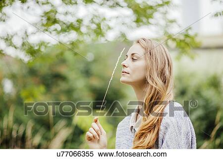 Young woman in field holding up a stem of long grass View Large Photo Image Stock Photography - Young woman in field holding up a stem of long grass. Fotosearch