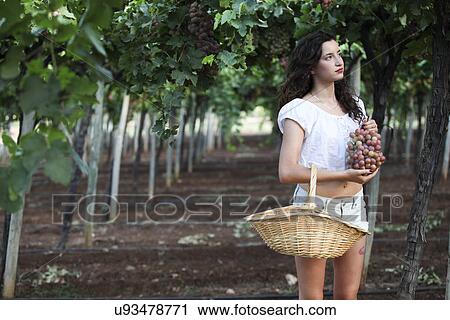 Young woman standing among vines, holding grapes View Large Photo Image Stock Image - Young woman standing among vines, holding grapes. Fotosearch