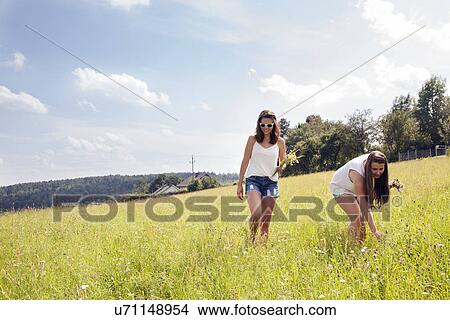 Picture - Young women picking wildflowers in field. Fotosearch