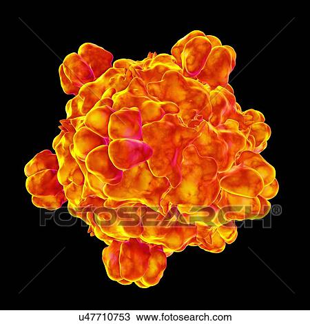 Drawing - Bacteriophage omega, artwork. Fotosearch