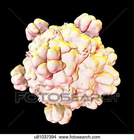 Bacteriophage omega, artwork View Large Illustration Stock Illustration - Bacteriophage omega, artwork. Fotosearch