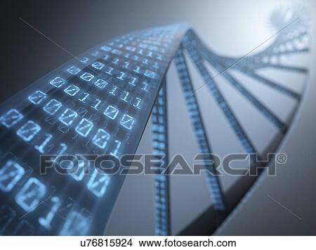 Binary code on dna strand, artwork View Large Illustration Stock Illustration - Binary code on dna strand, artwork. Fotosearch