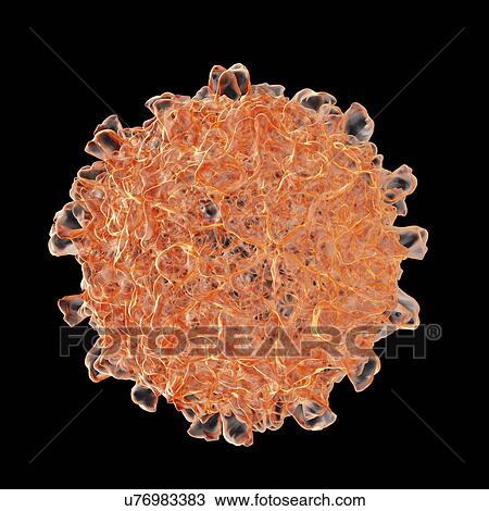 Drawing - Coxsackievirus b3, artwork. Fotosearch