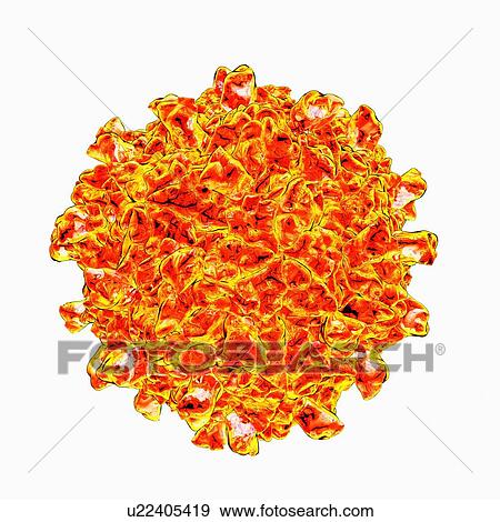 Coxsackievirus b3, artwork View Large Illustration Stock Illustration - Coxsackievirus b3, artwork. Fotosearch