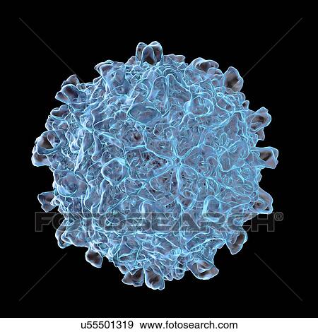 Stock Illustration - Coxsackievirus b3, artwork. Fotosearch