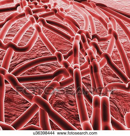 Stock Illustration - Ebola virus, artwork. Fotosearch