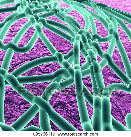 Ebola virus, artwork View Large Illustration Stock Illustration - Ebola virus, artwork. Fotosearch